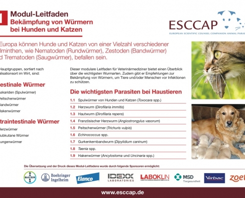 Abbildung des Modul-Leitfaden zum Thema Helminthen
