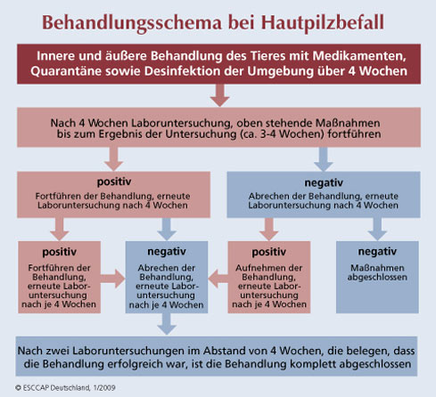 Ansteckend leistenpilz Hautpilz: Symptome