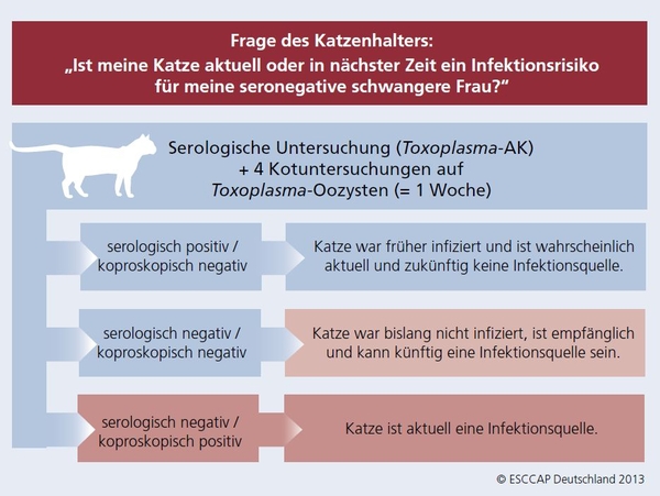 Hygienemaßnahmen gegen Giardien