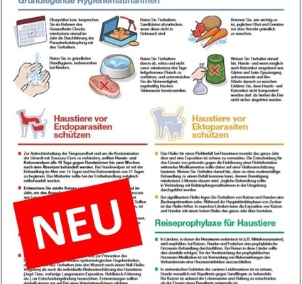 Abbildung des Praxis-Services