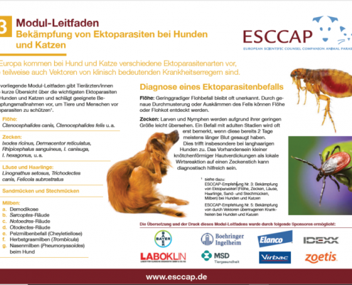 Modul-Leitfaden zu Ektoparasiten