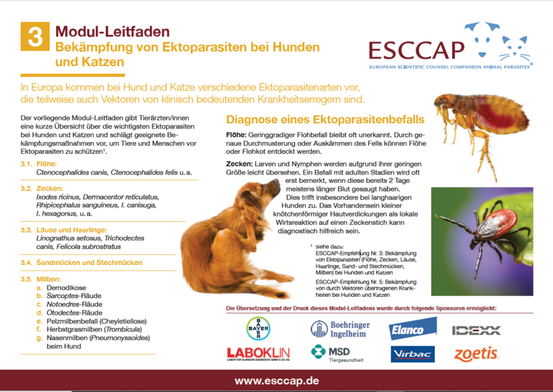 Modul-Leitfaden zu Ektoparasiten