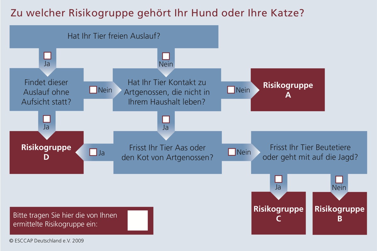 Abbildung des Anamnseseblocks zur Entwurmung für TierärztInnen