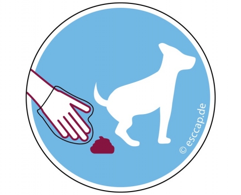 Blau-weiße Abbildung: Hand mit Handschuh nimmt Kot vom Hund auf.