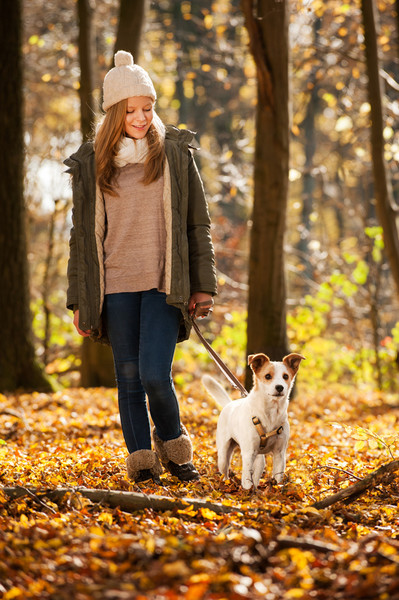 Frau geht mit Hund an Leine spatzieren im herbstlichen Wald