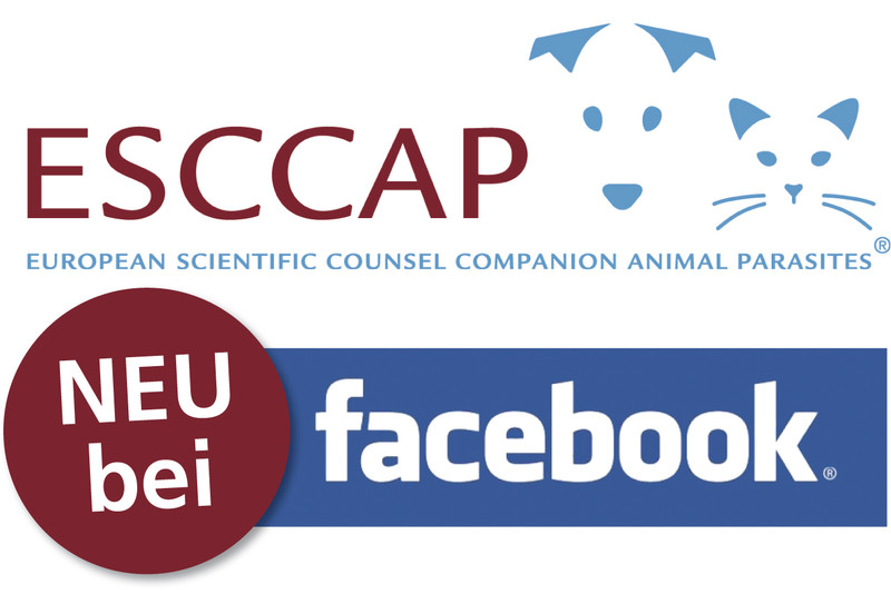 Abbildung ESCCAP bei Facebook