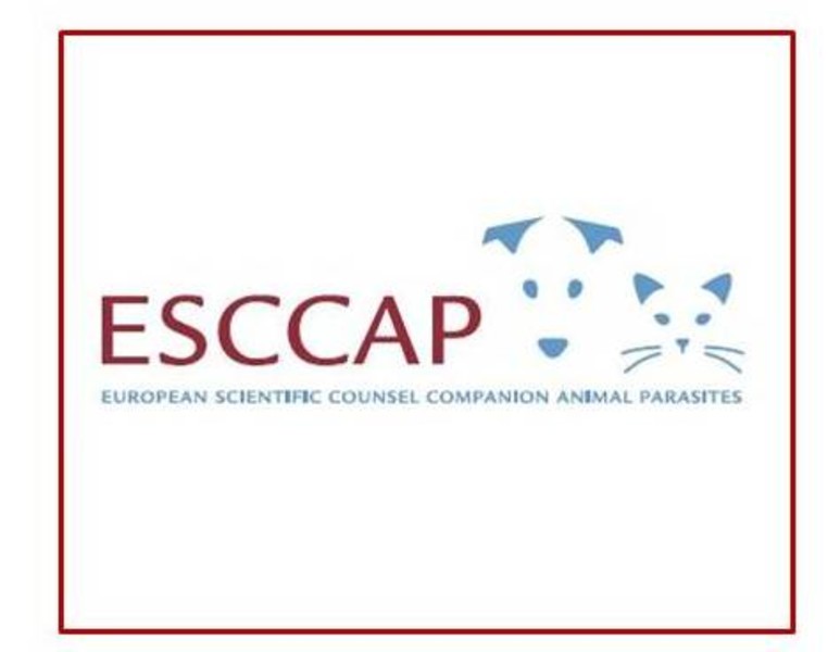 ESCCAP Logo