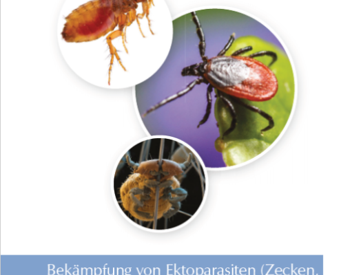 Empfehlung Ektoparasiten Hunde und Katzen